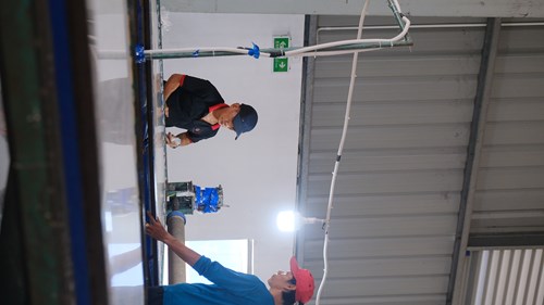 Cây phim bóng, mờ